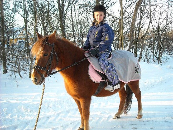 Anden særlig race Fanny - Mig og Fanny i snen billede 10