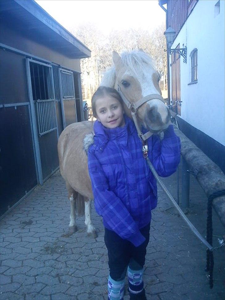 Welsh Mountain (sec A) Sjaik<3 - Nina og Sjaik. billede 2