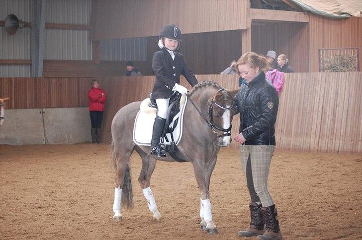 Welsh Pony (sec B) Silver - Silver med hans nye ejer - jeg er så stolt af dem! :-) billede 20