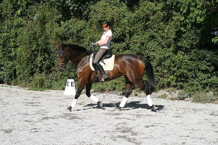Anden særlig race Aicha - Aicha og jeg september 2010 billede 9