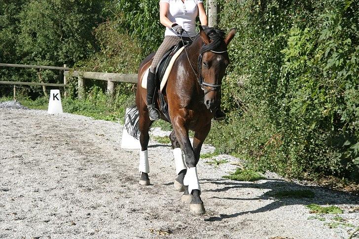 Anden særlig race Aicha - Aicha og jeg september 2010 billede 10