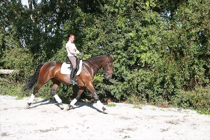 Anden særlig race Aicha - Aicha og jeg september 2010 billede 13