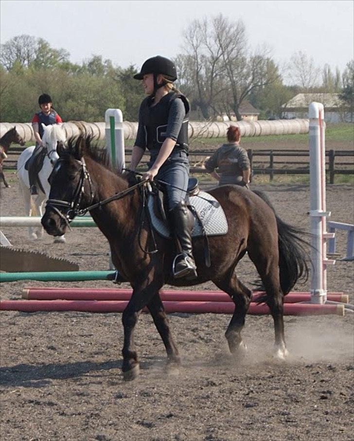 Anden særlig race Bandit<3 - Mig og Bandit i trav til springtrænning. Vi varmer lige op inden vi skal springe :) Taget af Maria Mortensen 27/4 2011. Verdens bedste fotograf! :D billede 3