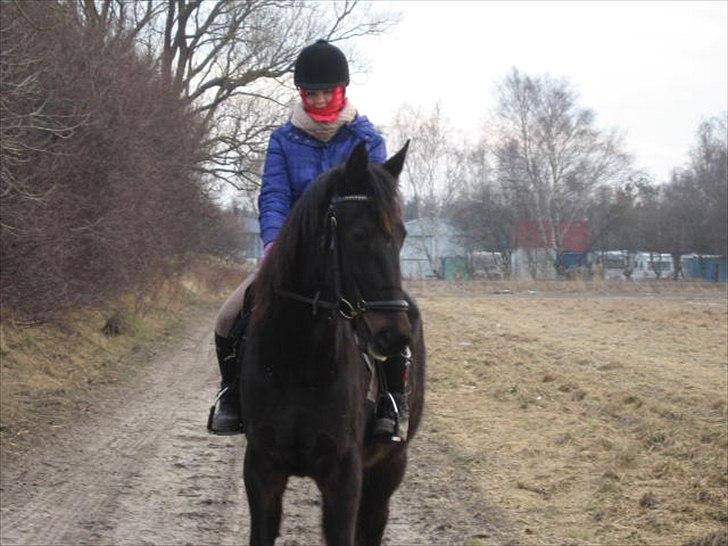 Traver Proud Mary (Lille P) - Smukke ude og skridte en tur :) billede 5