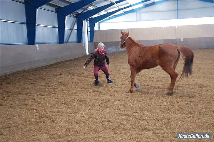Anden særlig race Flower Power billede 14