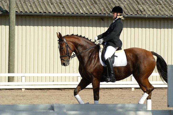 Oldenborg Salina Smed billede 4