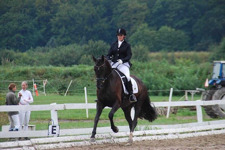 Hannoveraner Rubin Eg - Rubin til 4 års med Mimi Eggert billede 5