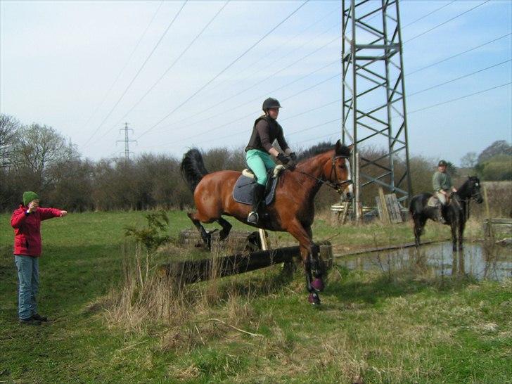 Oldenborg Salina Smed billede 5