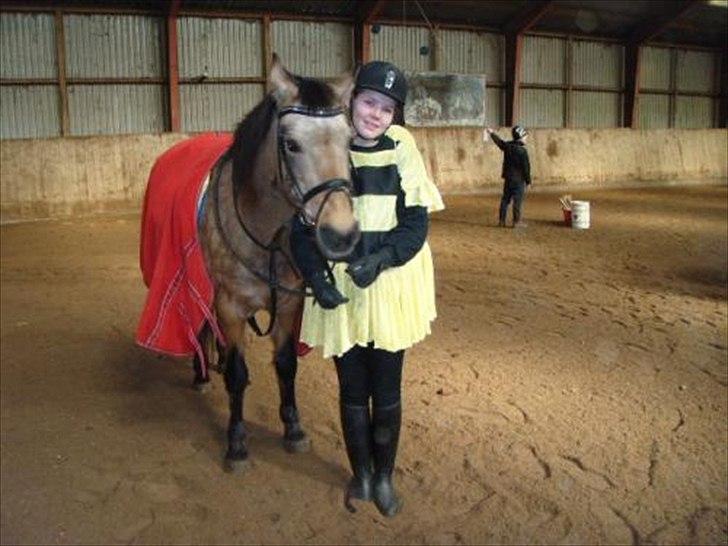 Connemara E Alouette Klubmester' 10 - Små bier :D billede 15