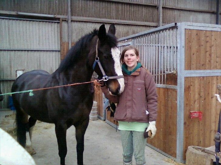 Hollandsk Varmblod Moberlina <3 Prinsessen<3 - Da jeg var oppe at prøve hende :D Foto: Min mor billede 4