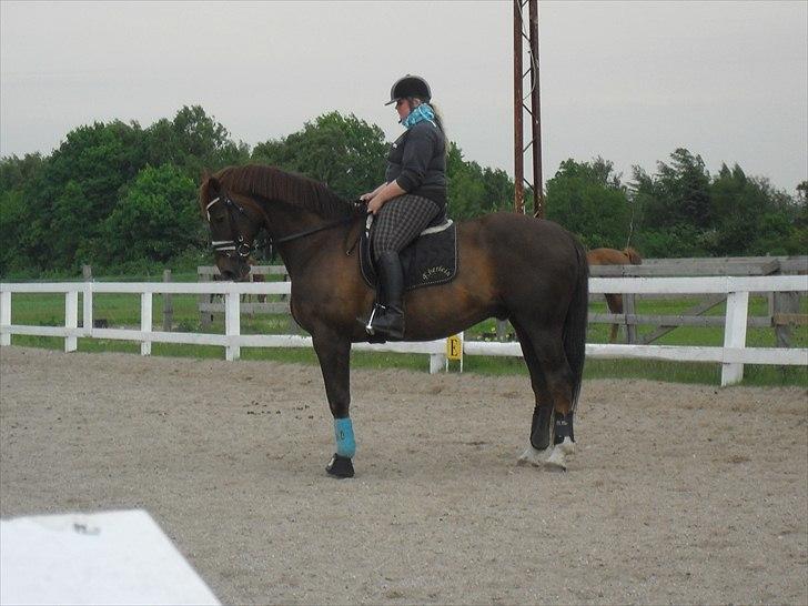 Hannoveraner Wikinger ;) - 26/5 :o) billede 12