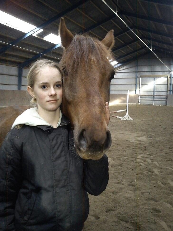 Anden særlig race Zafir billede 11