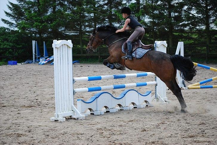 Connemara Hedehusets Ragout*B-Pony* - JA det er da ikke fordi min pony ikke kan springe :O<3 Foto: Astrid støvring-hallsson billede 8