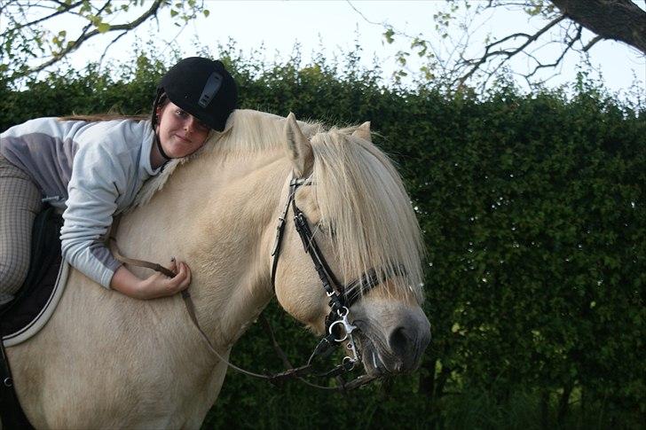 Fjordhest Højgaards Bacardi - Bacardi og hans nye ejer, min bedsteveninde Kia <3 d. 20/5-11 billede 14