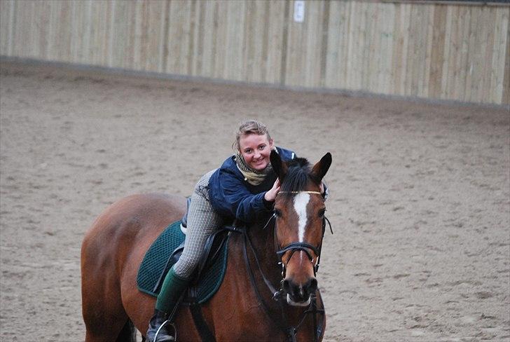 Hollandsk Varmblod Pyroet  billede 19