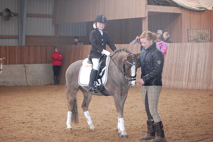 Welsh Pony (sec B) Silver A-pony - Silver, Maria og mig billede 12