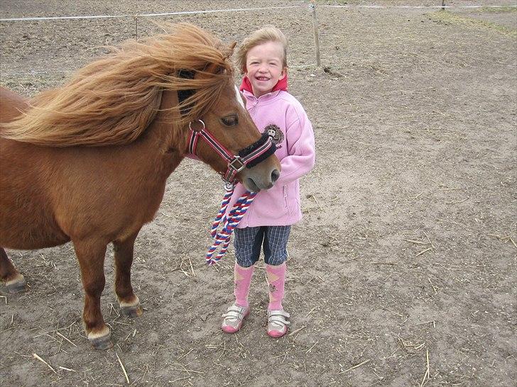 Shetlænder Molly - Søde Molly og jeg! :-D billede 2