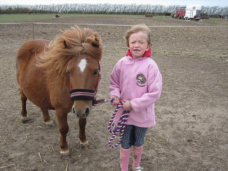 Shetlænder Molly - Er vi ikke søde? :-D billede 3