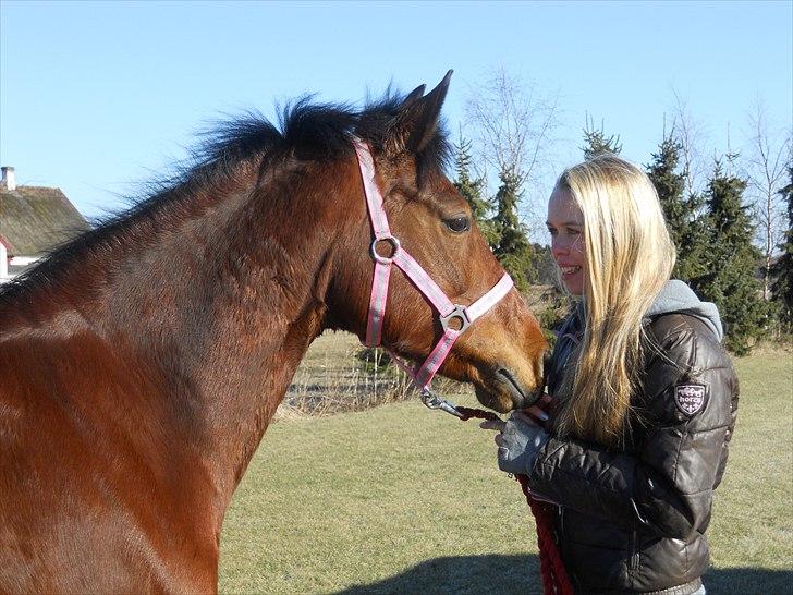Anden særlig race Dreamcatcher billede 9