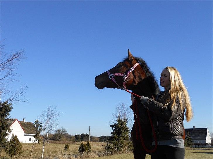 Anden særlig race Dreamcatcher billede 10