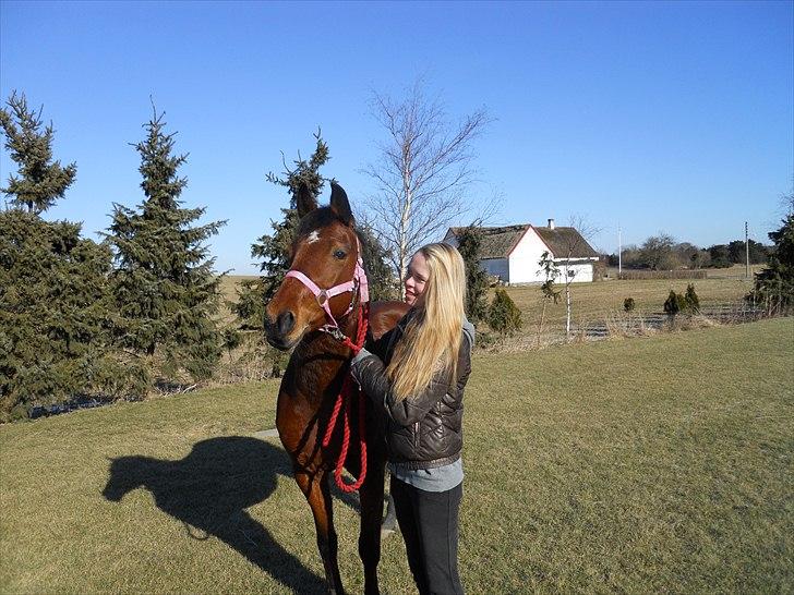 Anden særlig race Dreamcatcher billede 11