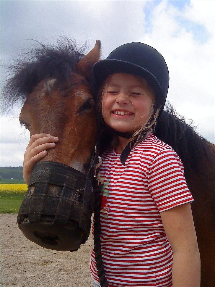 Dartmoor Viktor Dunemose billede 16