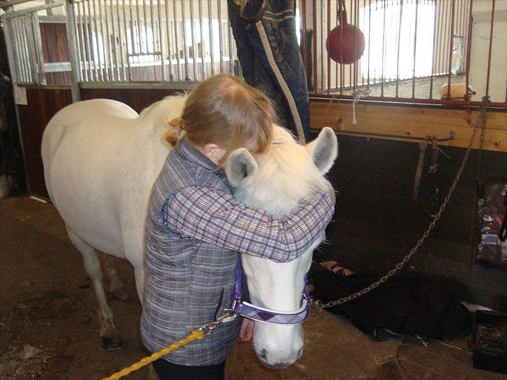 Connemara Perle :) - 13. marts 2011 Jeg elsker min smukke pony billede 16