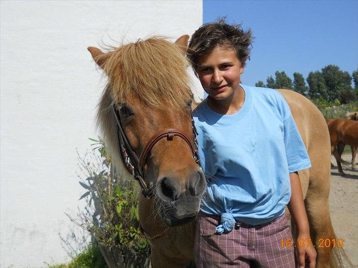 Islænder Röskva fra Skanderup (1992 - 2014) billede 6