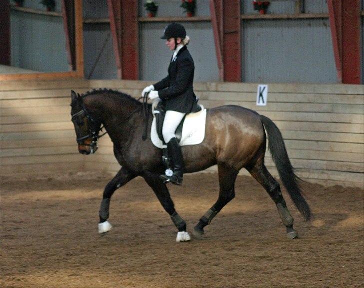 Anden særlig race - Marcell billede 20