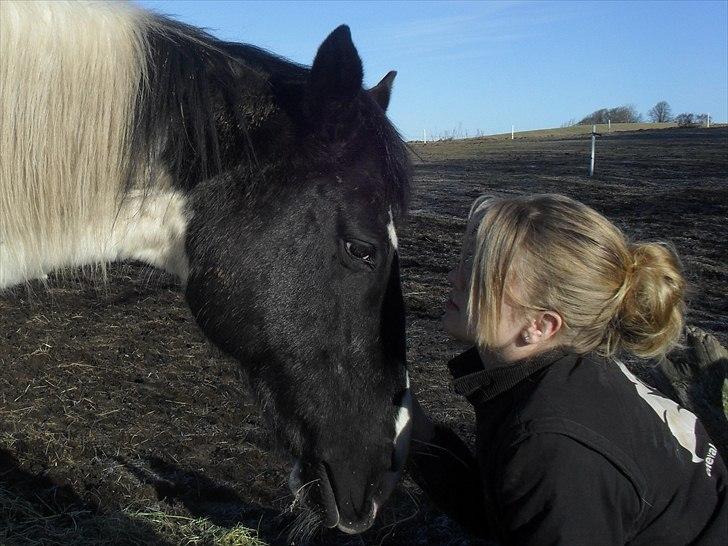 Paint Dixie - 1) billede 2