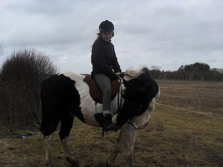 Paint Dixie - 2) billede 3