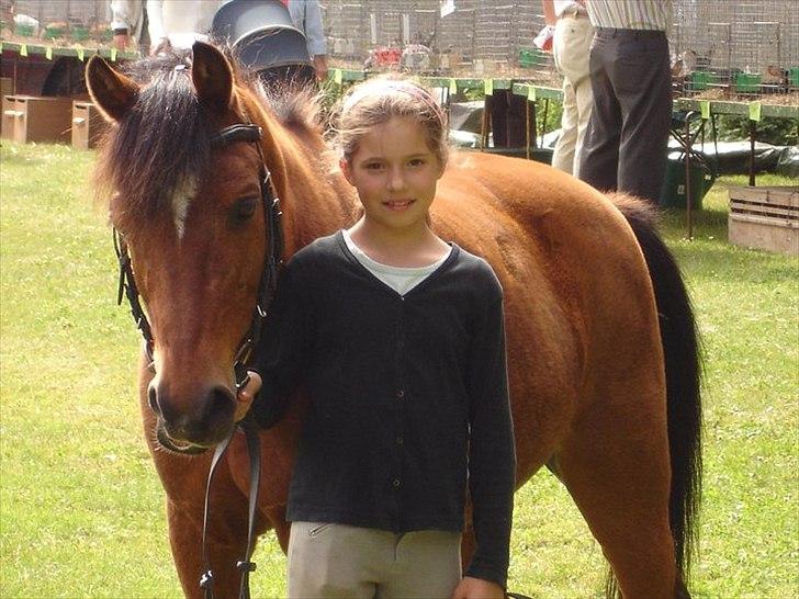 Welsh Partbred (Sec F) Mountain Mehefin (Monty) Solgt :'( - Dyreskue 2008 billede 5