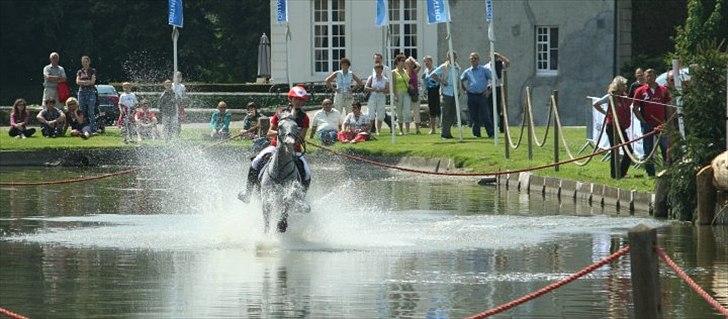 Anden særlig race Braveheart billede 6