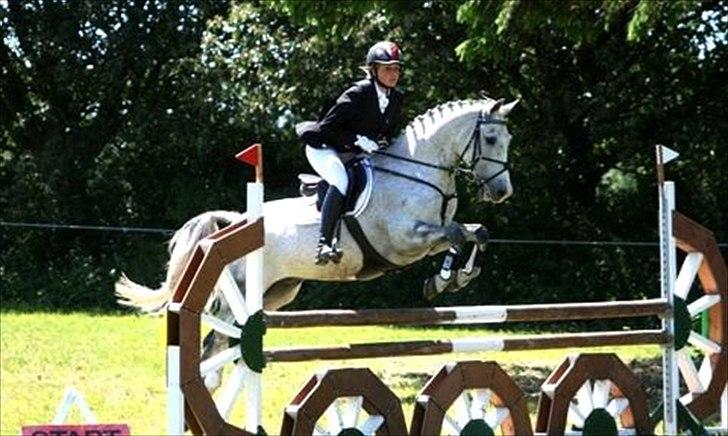 Anden særlig race Braveheart billede 8