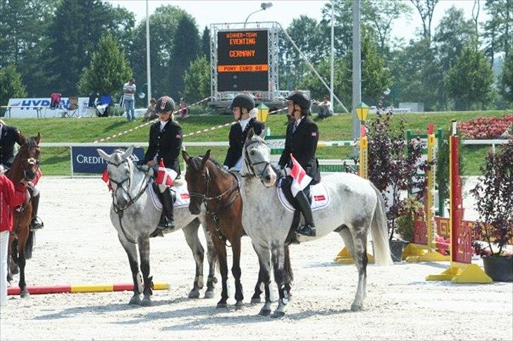 Anden særlig race Braveheart billede 10