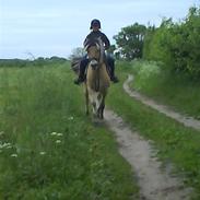 Anden særlig race Faxe