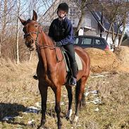 Traver Alicia Elmegård