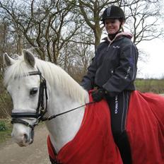 Anden særlig race Julius