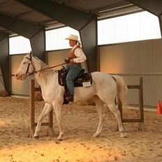 Paint Charlies Qiani Ice