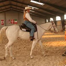 Paint Charlies Qiani Ice