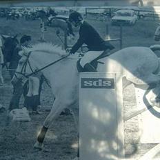 Anden særlig race Jack