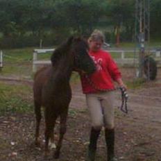 Anden særlig race Victor