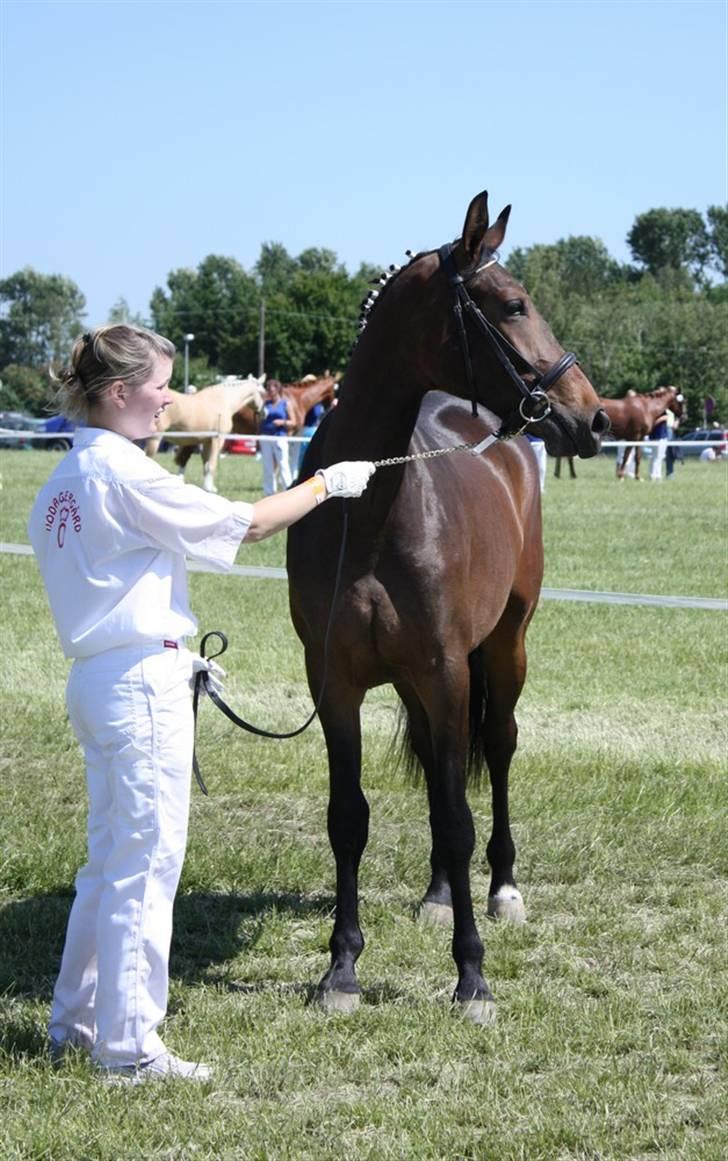 Oldenborg Dea af Vodagergård - D. 6. juni 2008 - Dea og Tine under fremvisning for dommer, Roskilde Dyrskue 2008 billede 6