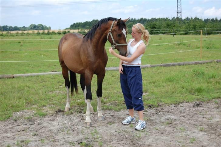 Dansk Varmblod Sødals Santiago  - sandy og jeg - 17 juli 07 billede 11