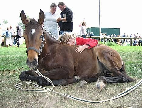 Oldenborg Dea af Vodagergård - D. 17. september 2006 - Maria og Dea hygger til Gørlev føl- og plageskue :-) billede 7