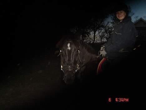 Anden særlig race Django<3 gammel pony ;/  - ret godt, man kan lige se hans hoved og mit :D  billede 8