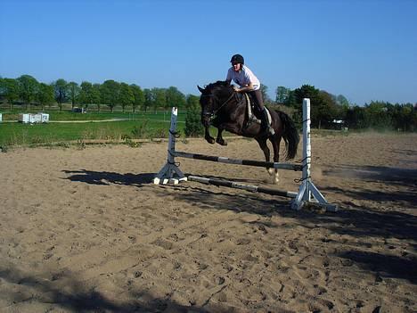 Anden særlig race Pelle billede 1