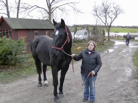 Oldenborg Diosa af stensbjerg - Taget den 21/01-07 billede 4