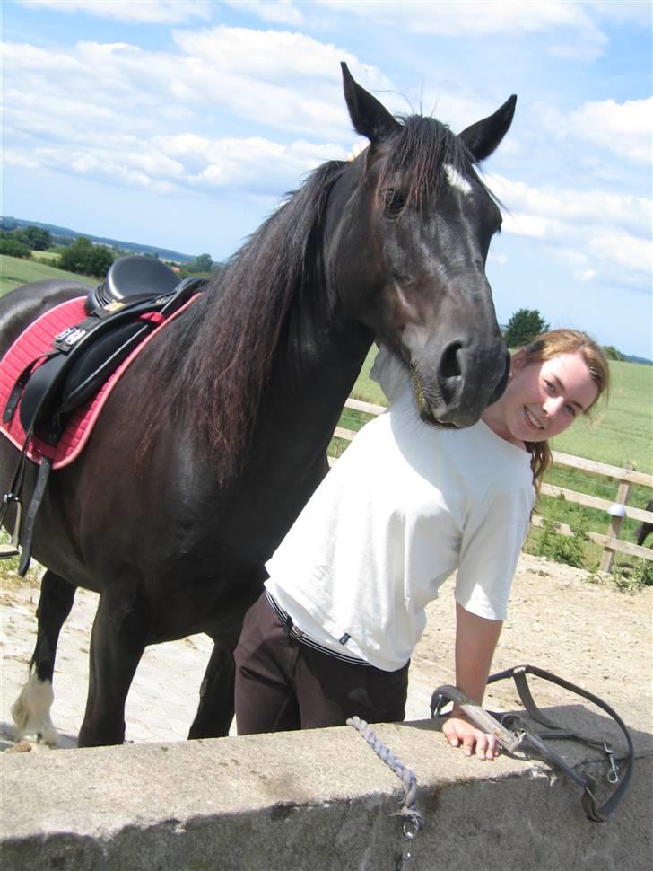 Welsh Cob (sec D) Haymos Chagal <3 Sov sødt <3 - Chagal du forstår sku at bringe smilet frem på mine læber :´) ILU´ <3 FOTO: min søster billede 14