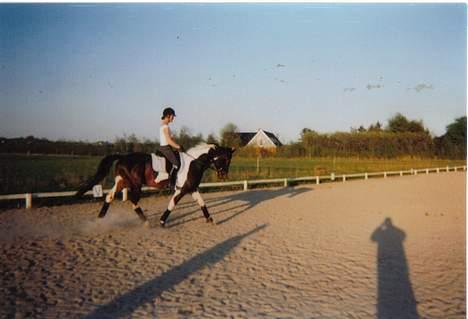 Pinto Indy (Thor)..-Solgt- - Så rider vi skråt igennem.. billede 8